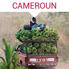 Kit Février : CAMEROUN